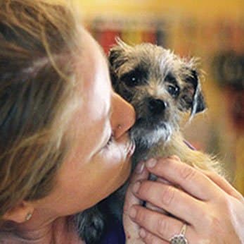 Adopt a Pet | Winnipeg Humane Society