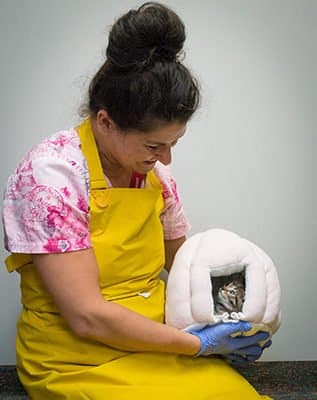 Michelle Hedin foster volunteer with cat