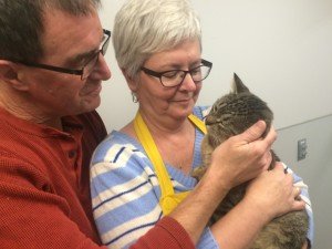 winnipeg-cat-adoption-rescue