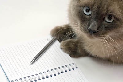 Cat, pen and blank open notepad