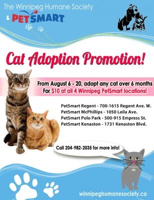 PetSmart Cat promo August 2015