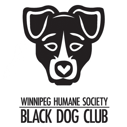 blackdogclub_logo_square