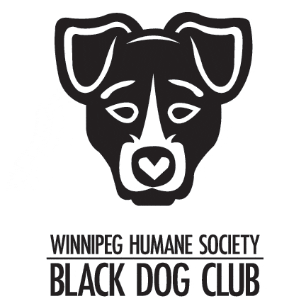 Black Dog Club event: Winnipeg Police Service K9 Unit demonstration @ Winnipeg Humane Society Joyce Gauthier Behaviour and Training Centre | Winnipeg | Manitoba | Canada