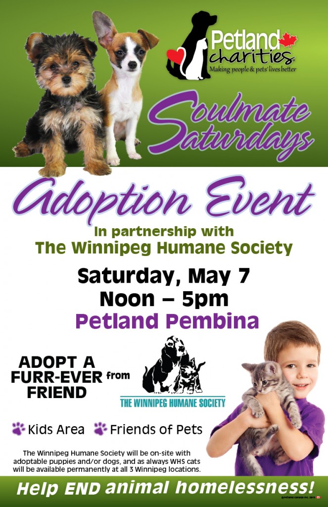 Petland Adoption Event - Soulmate Saturdays @ Petland Pembina | Winnipeg | Manitoba | Canada