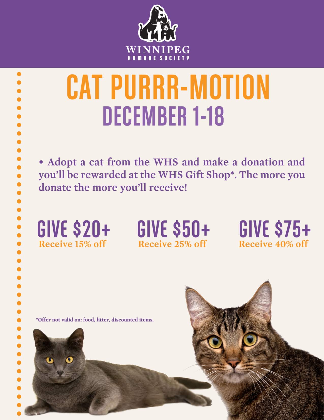 Cat Purr Motion   Winnipeg Humane Society