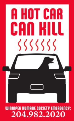 A hot car can kill: WHS and partners upping the ante to ...