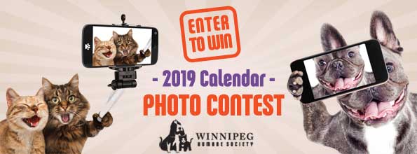 2019 calendar photo contest