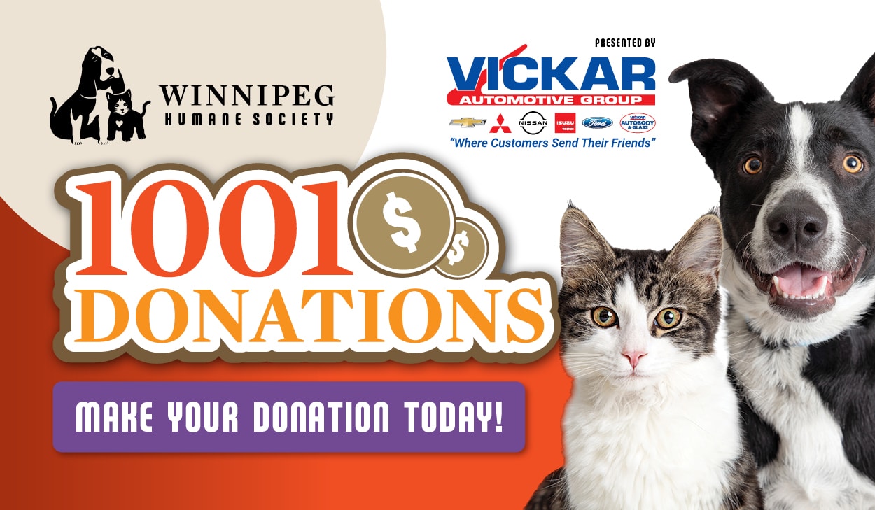 WHS 1001 Donations, presented by Vickar Automotive Group @ Winnipeg Humane Society