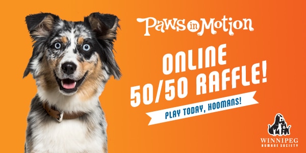 Paws in Motion Online 50/50 Raffle