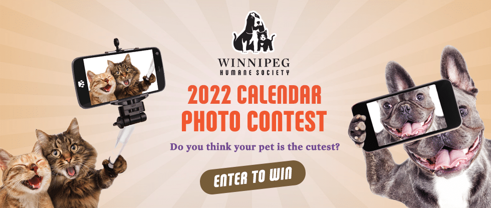 WHS 2022 Calendar Photo Contest